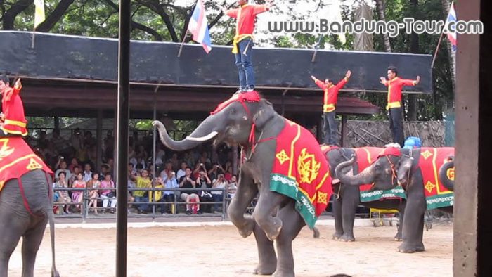 Promo Tour Wisata Bangkok Pattaya 2018 4D3N