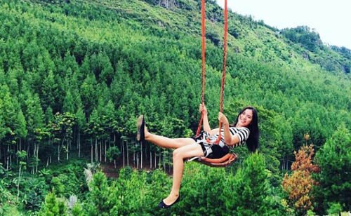 The-Lodge-Earthbound-Adventure-Park-1