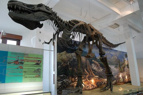 Museum-Geologi-Bandung