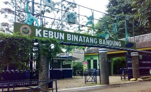 kebun_binatang_bandung