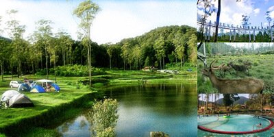 Rancaupas