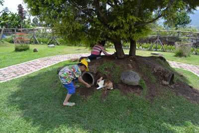 Taman-Kelinci-Ciwidey