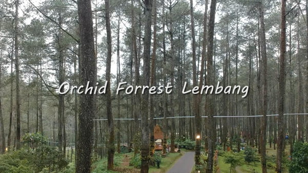 Orchid-forest-cikole-lembang