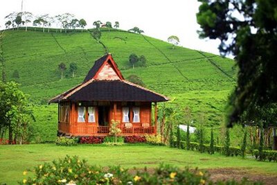 Kebun Teh Malabar Pangalengan