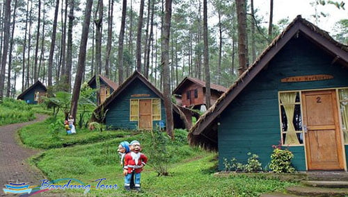 Grafika Cikole