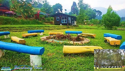 Pine Forest Camp Lembang
