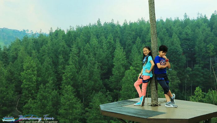 Sky Tree Dago Dream Park