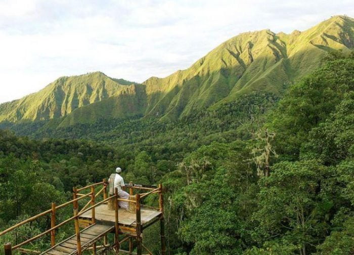 Taman Wisata Pusuk Sembalun Lombok