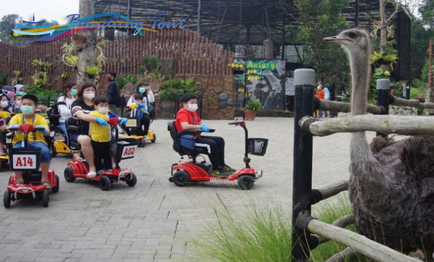 Berkeliling dengan Scooter