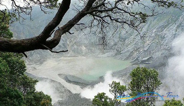 kawah upas